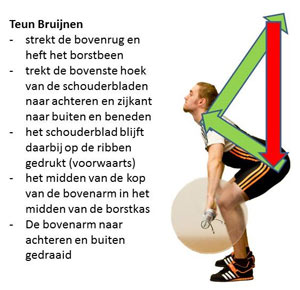 til schouders