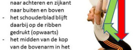 til schouders